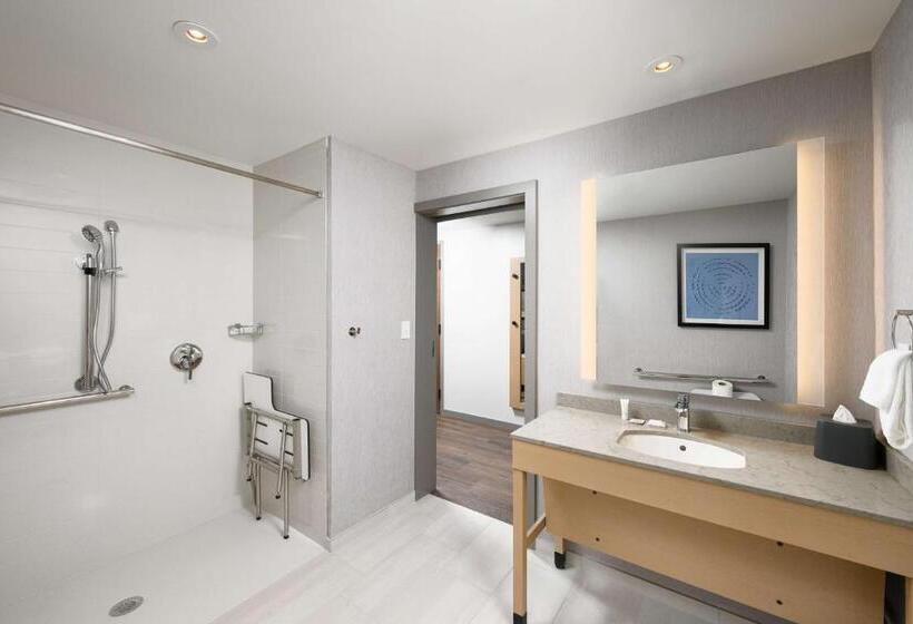 Номер Стандарт Кровать Кинг Адаптированный для Инвалидов, Hyatt Place Albany/downtown