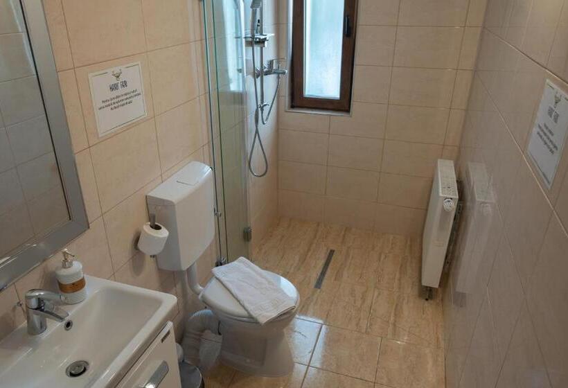 豪华房间, Hanu Fain