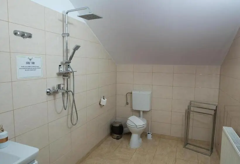 Deluxe Neljän Hengen Huone, Hanu Fain