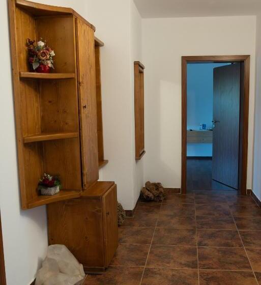 四人豪华间, Hanu Fain