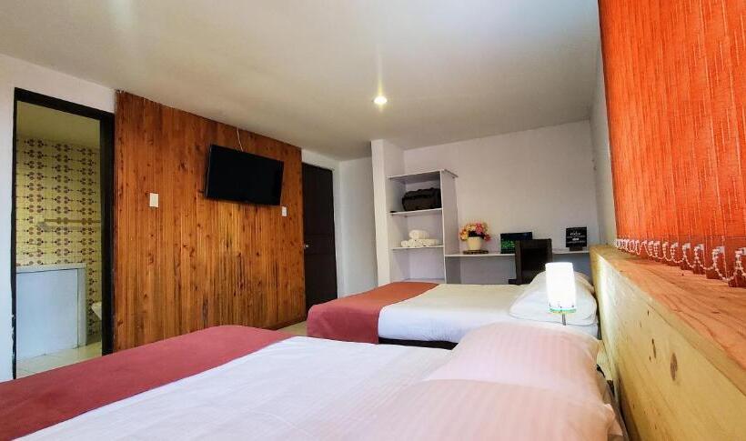 スタンダードルーム, El Gran Chaparral