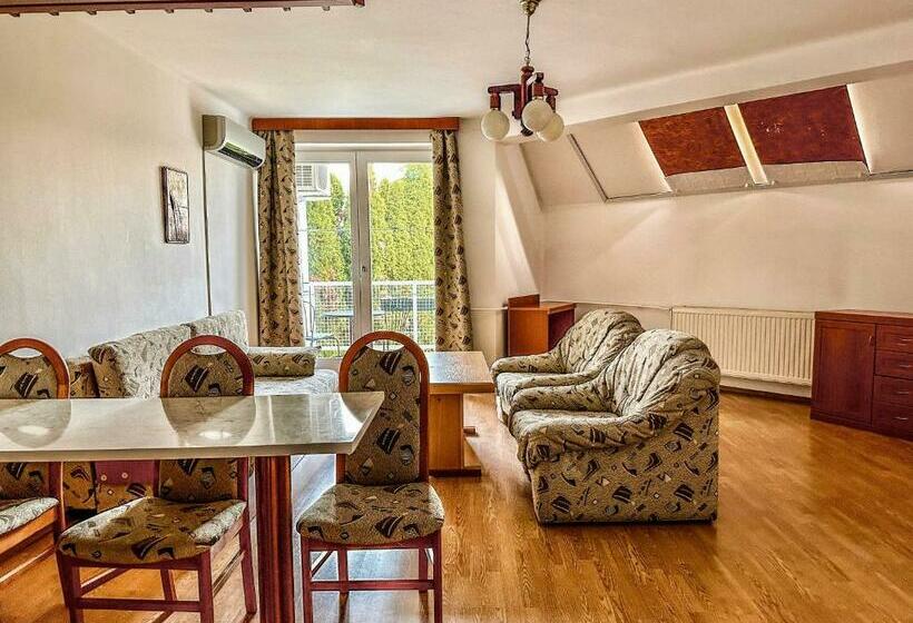 １ベッドルームのデラックスアパートメント, Villa Sederkyn