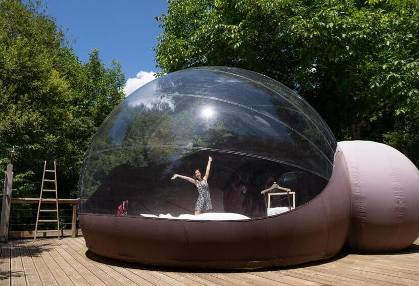 スイート, Chrysalide Saint Martin