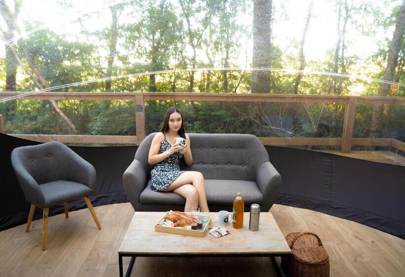 スイート, Chrysalide Saint Martin