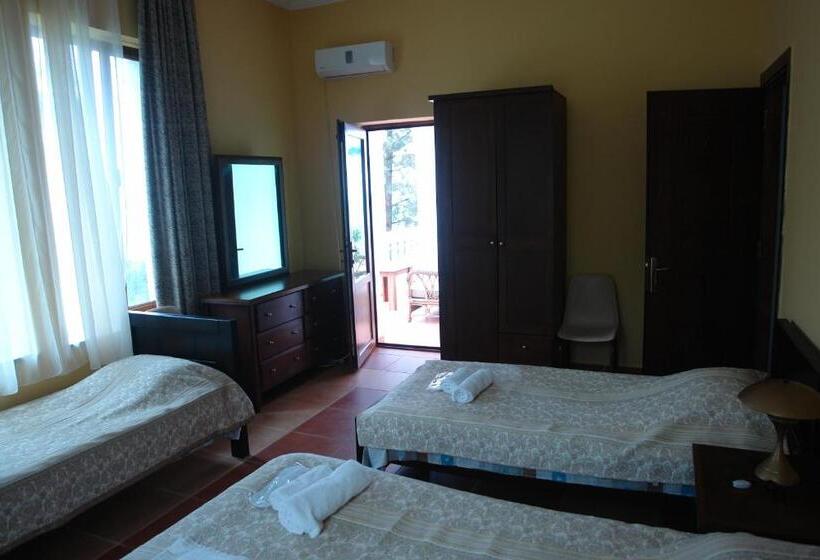 آپارتمان 1 خوابه با چشم‌انداز دریا, Marshal Resort Kobuleti