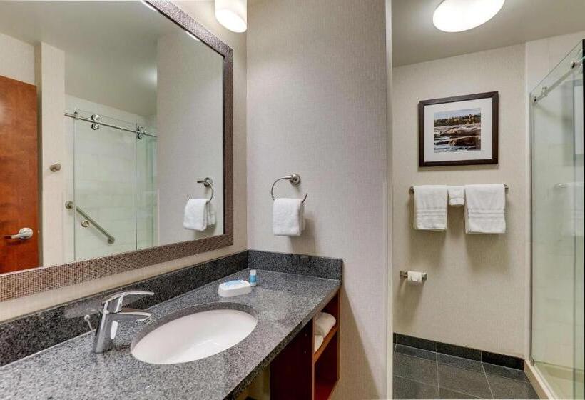 מיטת קינג בסוויטה, Drury Plaza Hotel Dallas Arlington
