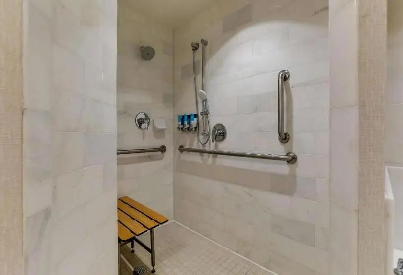 身障者適用スイートルーム, Drury Plaza Hotel Dallas Arlington