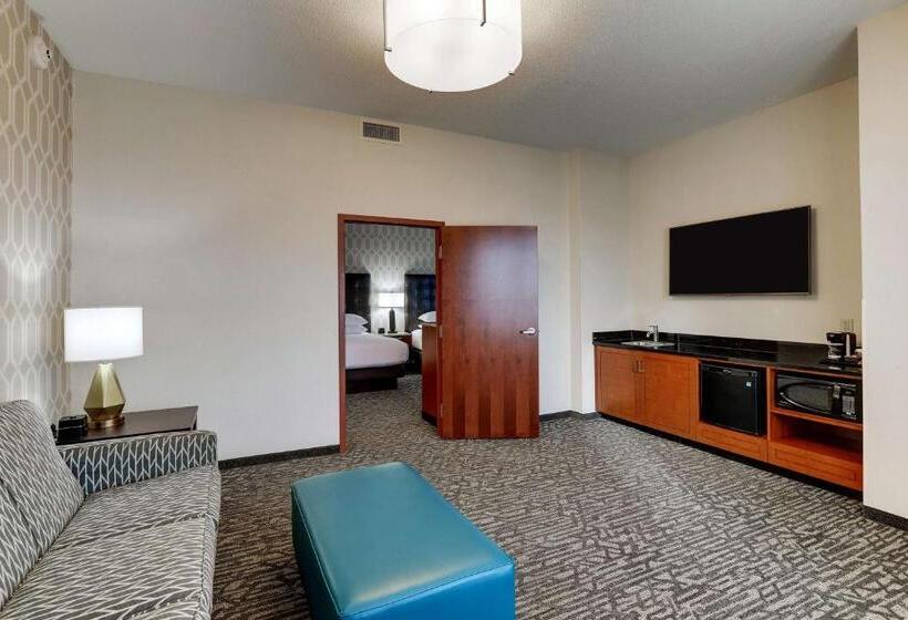适合残疾人士使用的套间, Drury Plaza Hotel Dallas Arlington