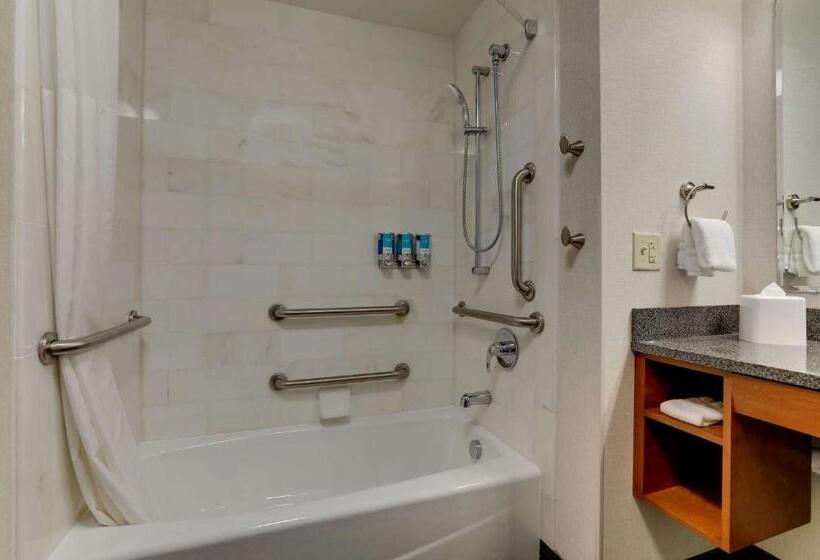 适用于残疾人士的豪华房间, Drury Plaza Hotel Dallas Arlington