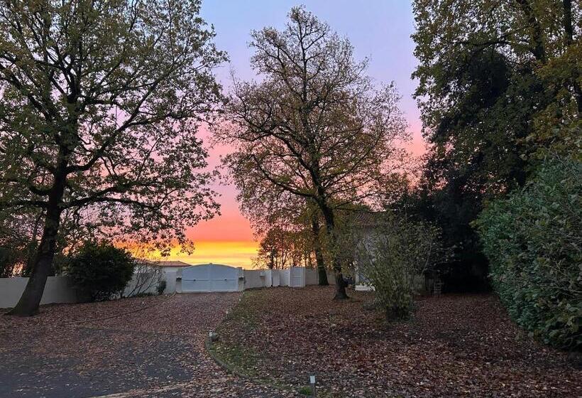 수피리어 룸, Le Clos Des Lilas