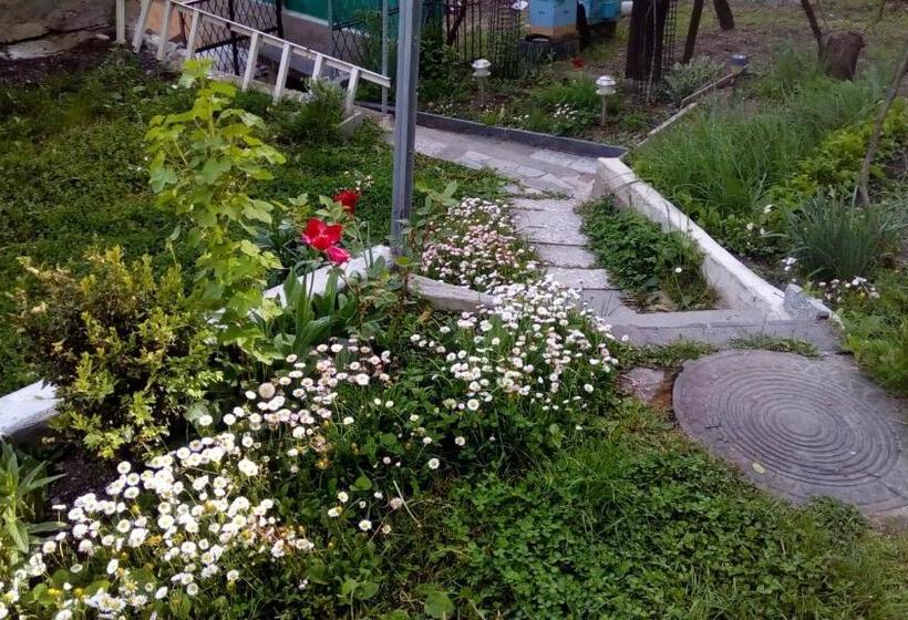 اتاق استاندارد, Guest House Khatuna