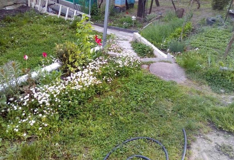 اتاق استاندارد, Guest House Khatuna