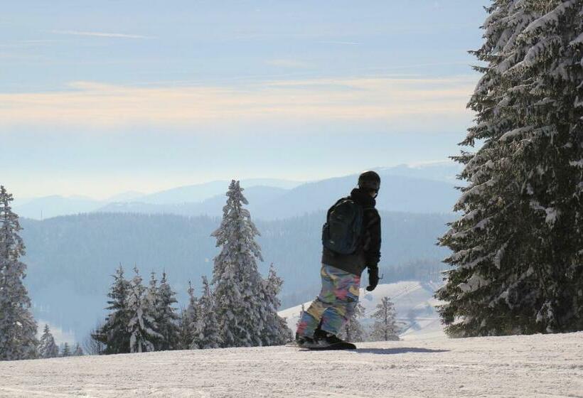 Apartamento 1 Quarto, Pension Glöcklehof