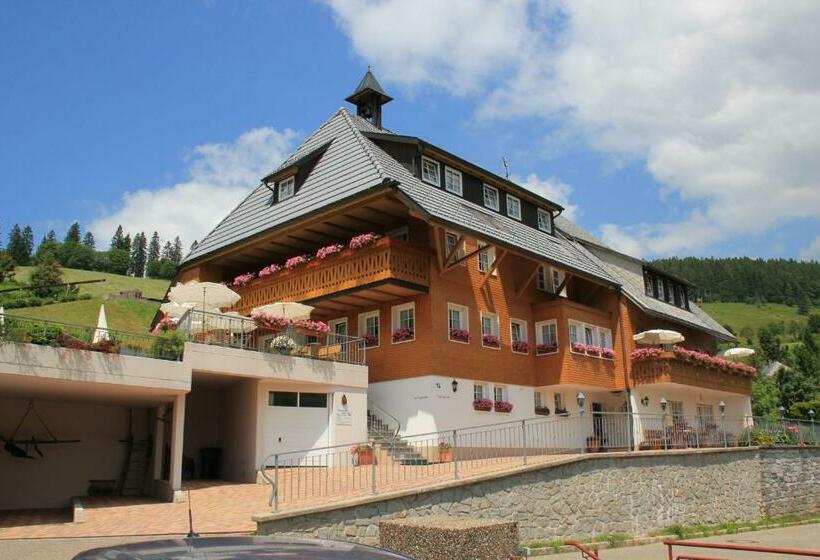 Апартаменты 1 Спальня, Pension Glöcklehof