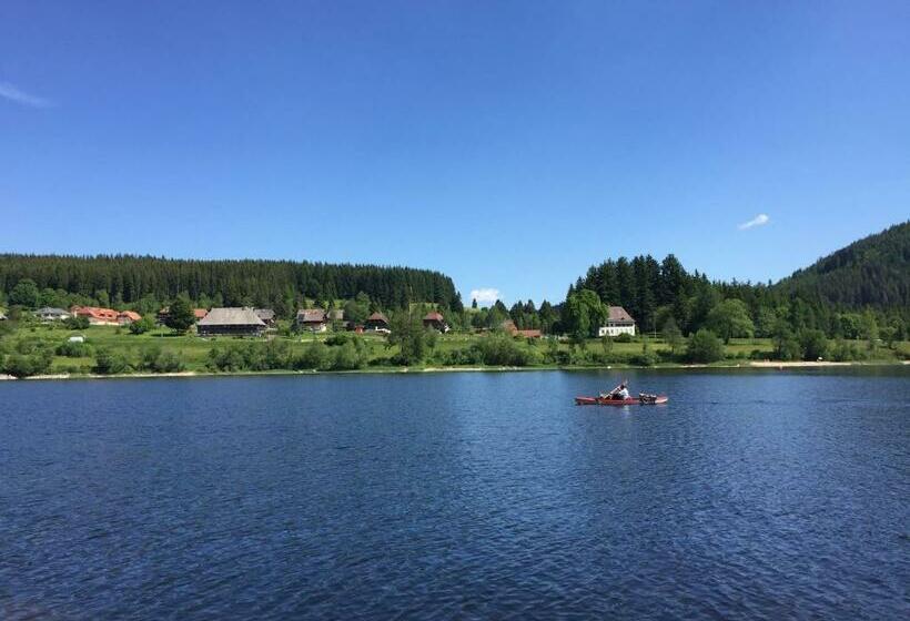 Апартаменты 1 Спальня, Pension Glöcklehof