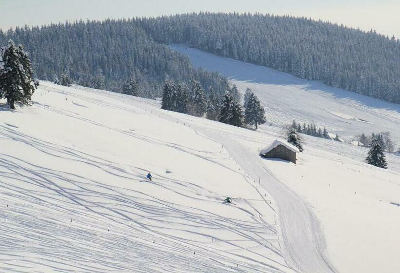 Апартаменты 1 Спальня, Pension Glöcklehof