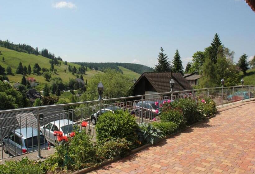 Апартаменты 1 Спальня, Pension Glöcklehof