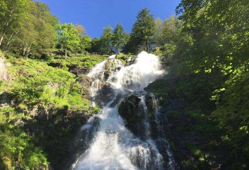 Apartamento 1 Quarto com Terraço, Pension Glöcklehof