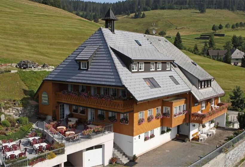 Апартаменты 1 Спальня с Террасой, Pension Glöcklehof