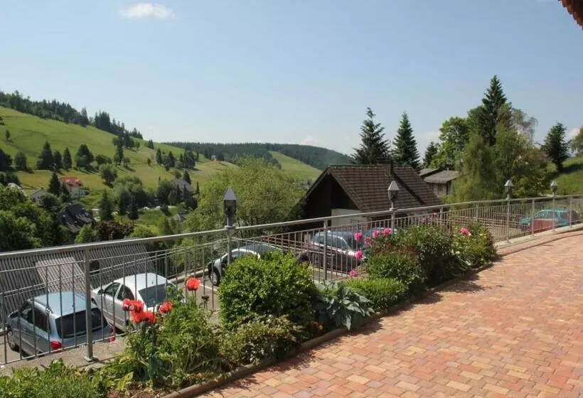 テラス付き１ベッドルームアパートメント, Pension Glöcklehof