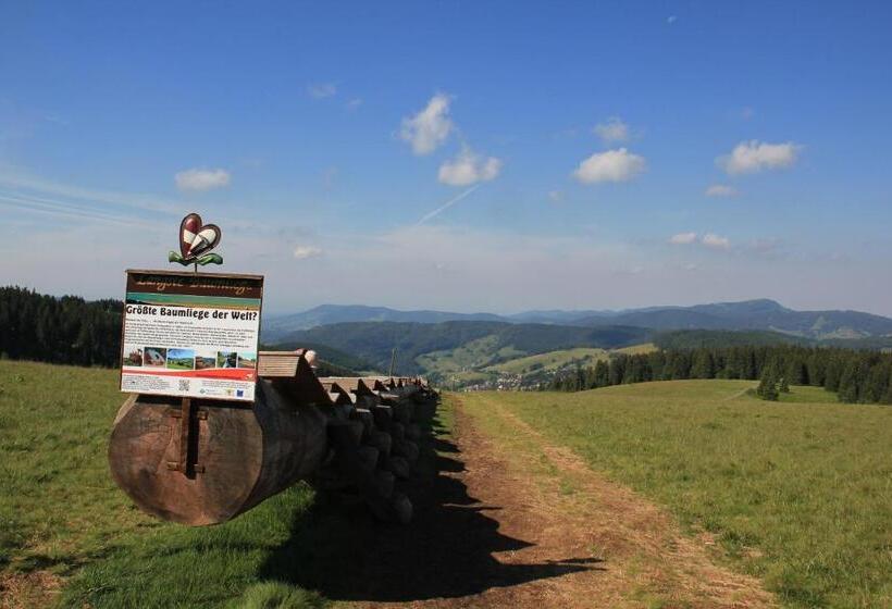 Апартаменты 1 Спальня с Балконом, Pension Glöcklehof