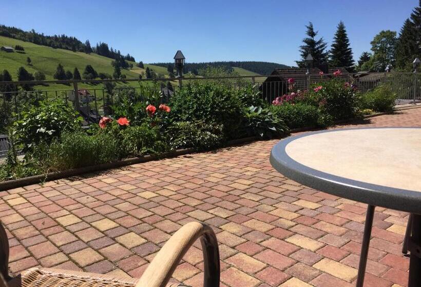 Apartamento 1 Quarto com Terraço, Pension Glöcklehof