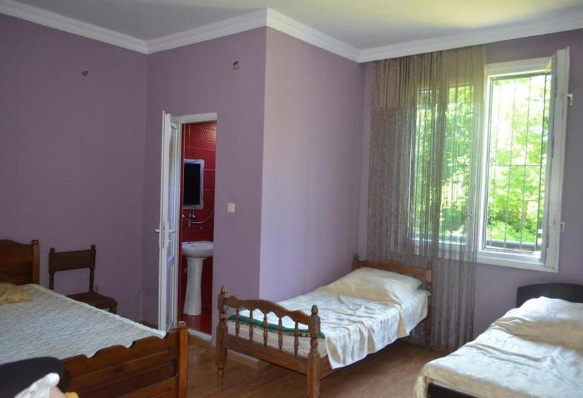 اتاق استاندارد چهار تخته, Near The Sea