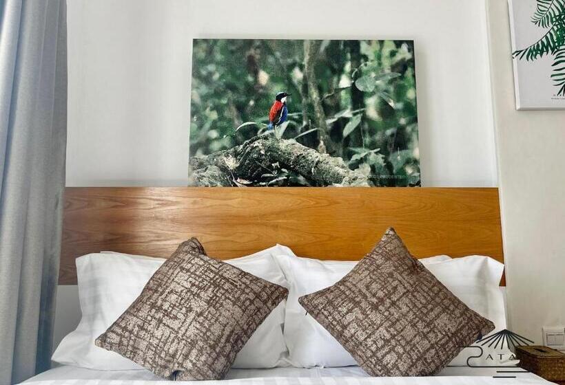 חדר דלוקס, Atap