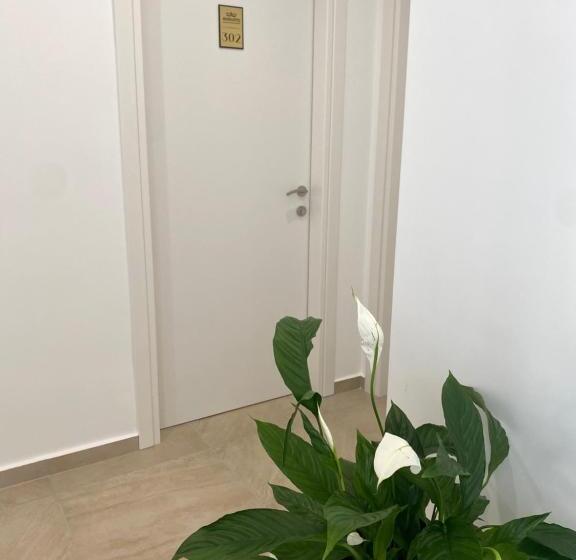 اتاق استاندارد سه تخته با بالکن, Augusto Rooms