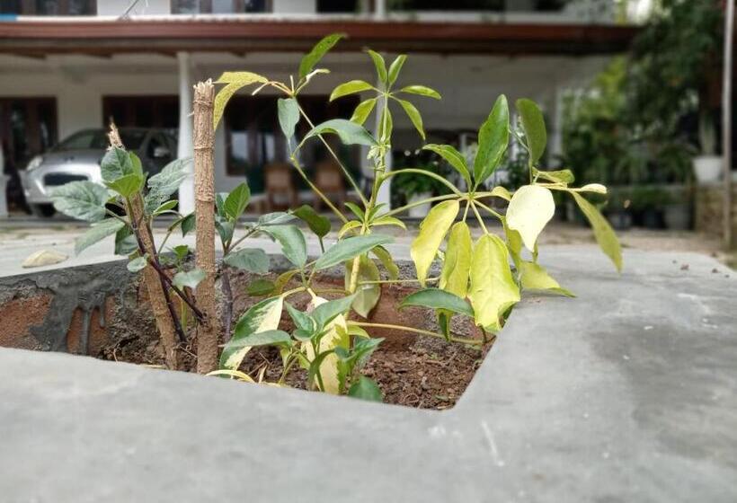 غرفة قياسية, Diyathalawa The Mountain Lodge