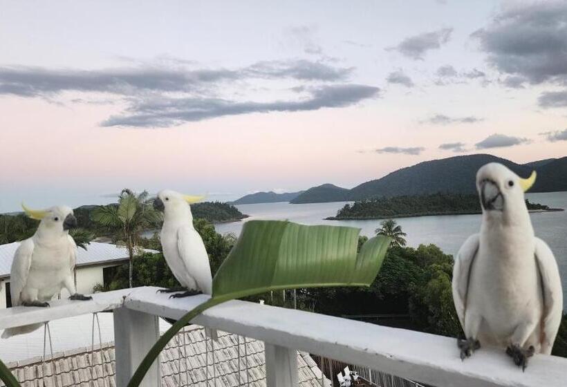 Номер Стандарт Вид на Море, The Haven View Airlie Beach