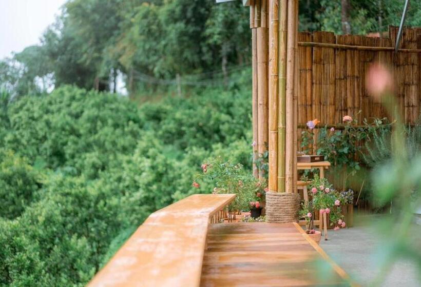 اتاق لوکس, Paopao Orange Farm And Home Stay