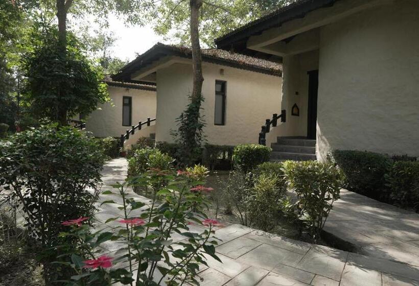 اتاق لوکس با تخت بزرگ, Siddhartha Vilasa Banbas, Chitwan