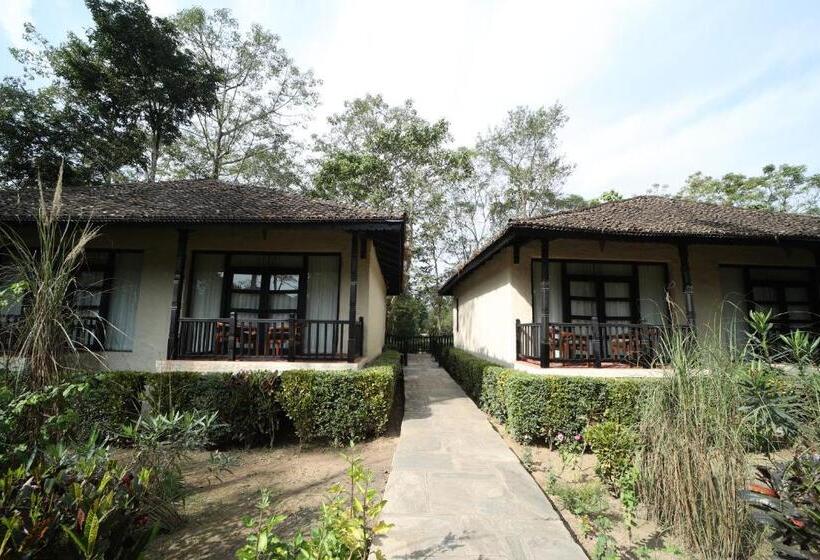 اتاق لوکس با تخت بزرگ, Siddhartha Vilasa Banbas, Chitwan