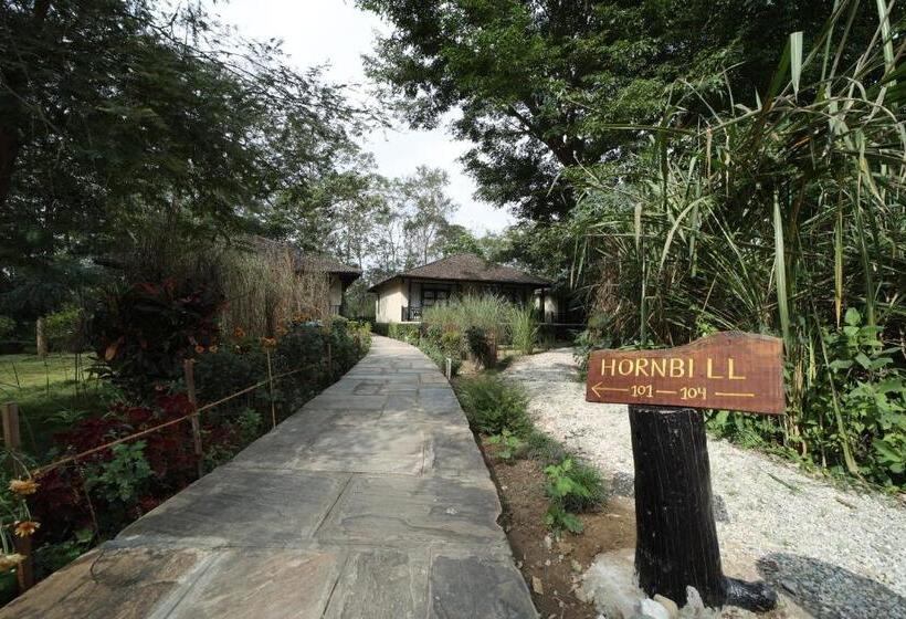 اتاق لوکس با تخت بزرگ, Siddhartha Vilasa Banbas, Chitwan