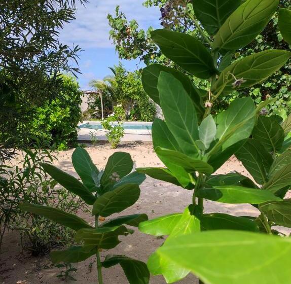 ガーデンビューデラックスルーム, Secret Place Hotel By Hello Tanzania Tours& Safaris