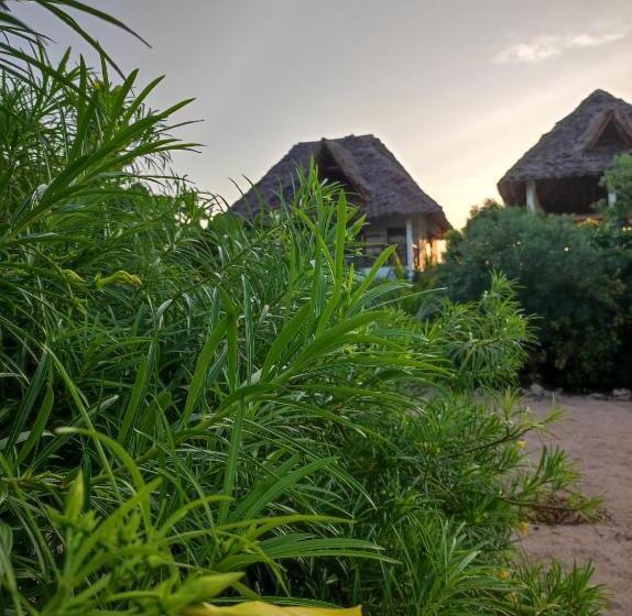 豪华园景房, Secret Place Hotel By Hello Tanzania Tours& Safaris