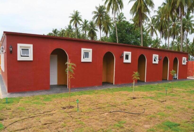 Standard Room Pool View, World Cat Beach & Resort เวิลด์แคท บีช แอนด์ รีสอร์ท