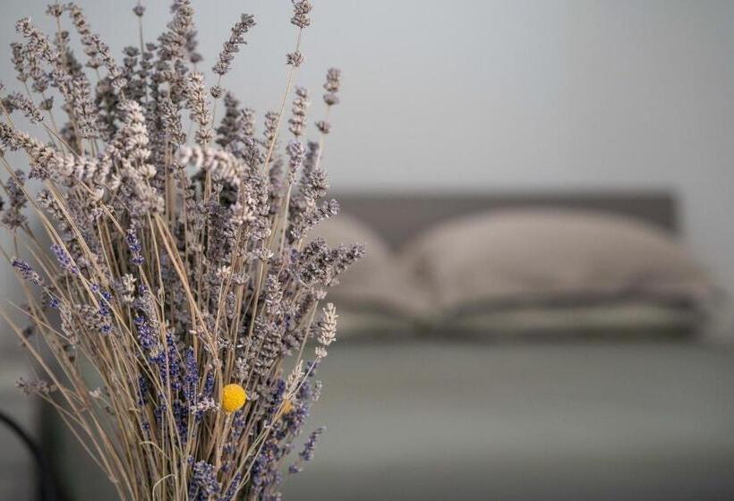 חדר סטנדרט, G&b Suite