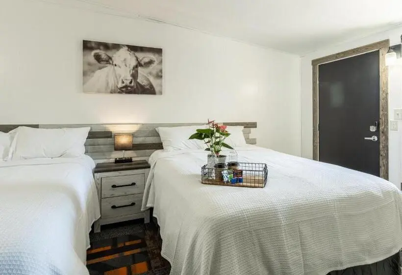 Standard-huone, Copperhead Lodge