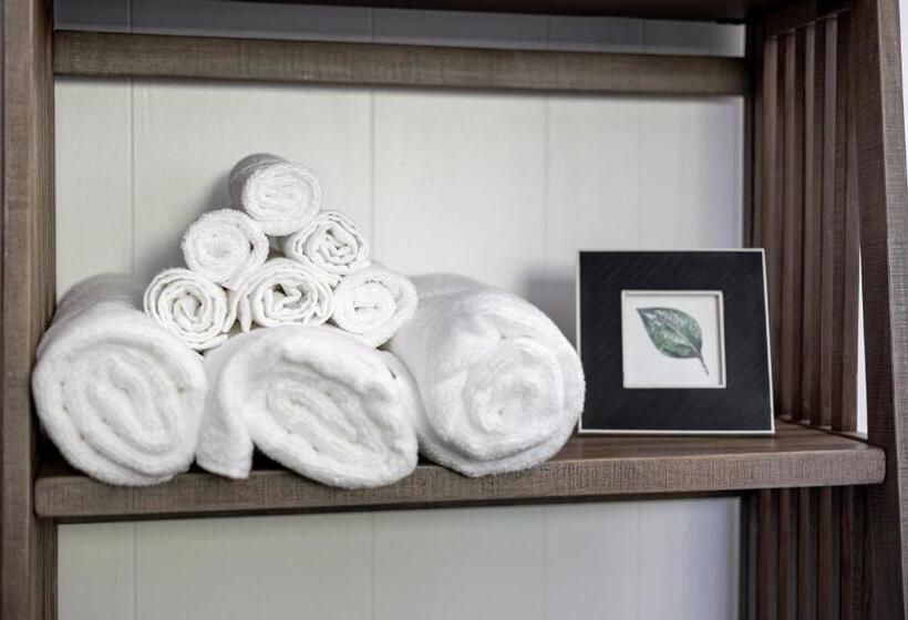 豪华工作室, Copperhead Lodge