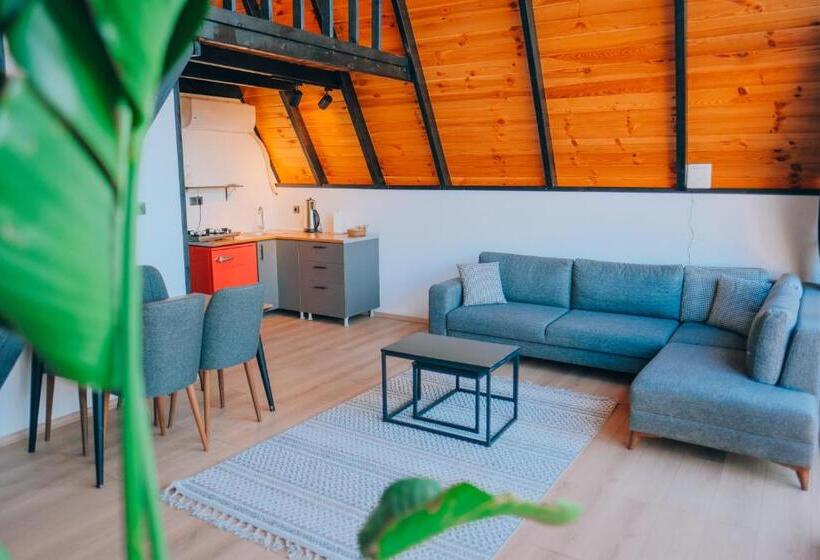 סוויטה אקזקיוטיב, Olea Deluxe Sapanca