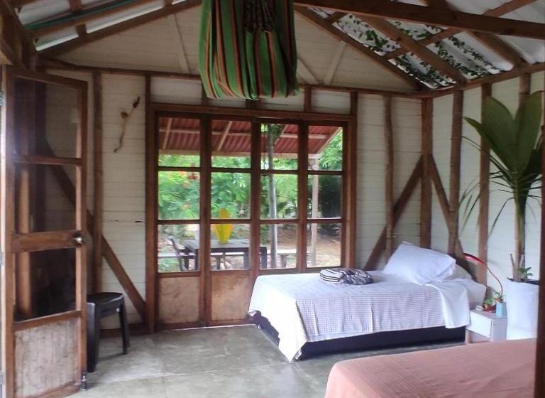 스탠다드 룸, Animal Paradise