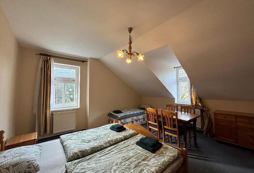 Четырехместный Номер Superior, Villa Berolina