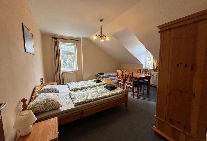 Четырехместный Номер Superior, Villa Berolina