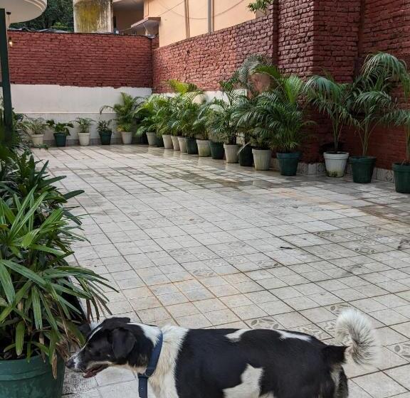 חדר דלוקס, 15 Verandah