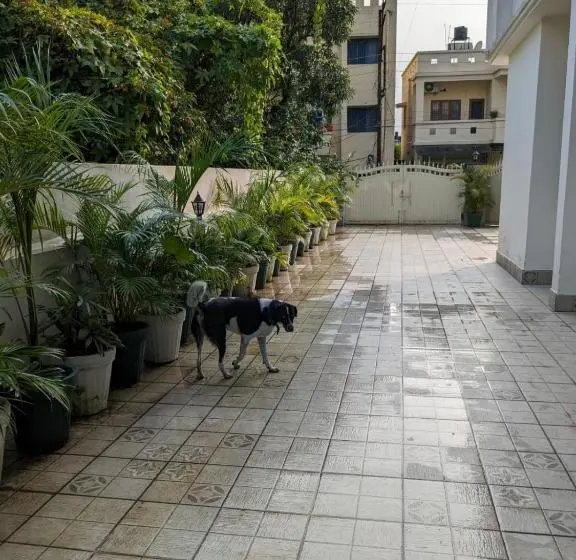 Perhesviitti, 15 Verandah