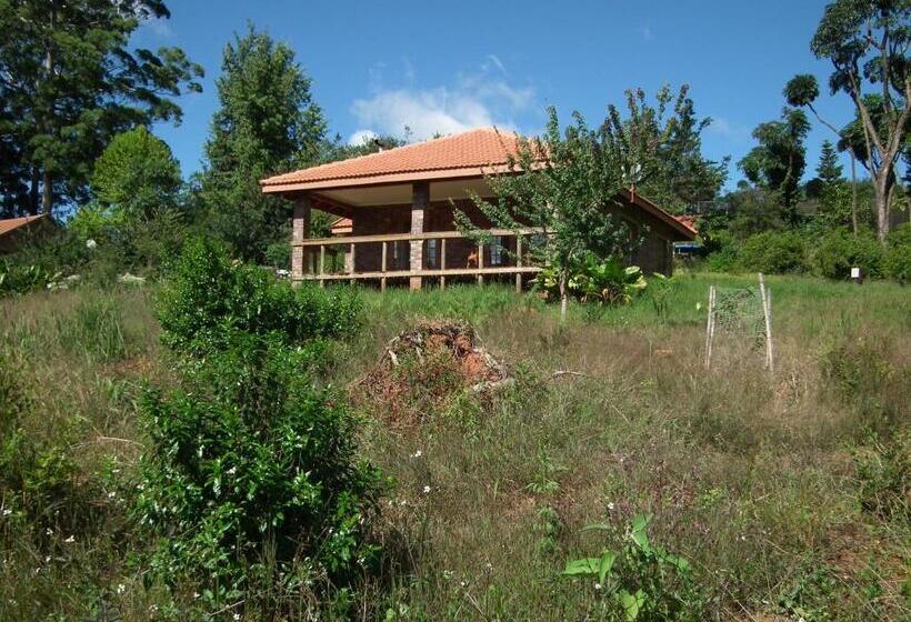 シングルデラックスルーム, Cheerio Trout Fishing & Holiday Resort