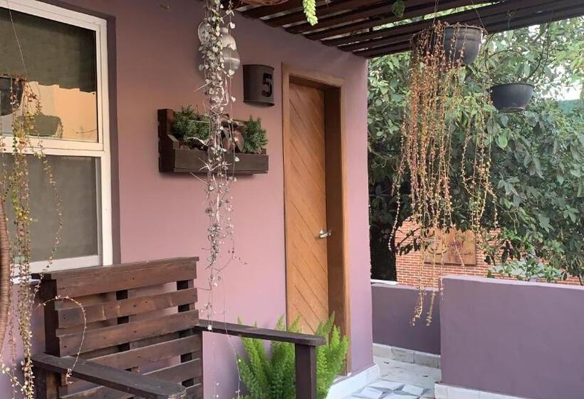 غرفة فردية مزودة بتراس, H1915 Hotel Boutique