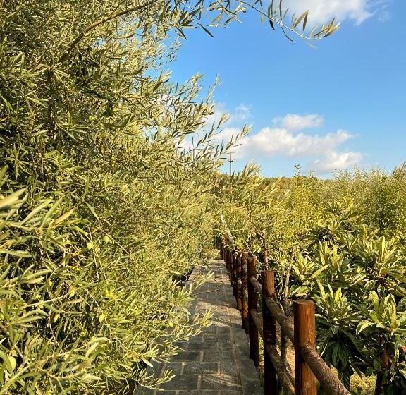 高级大房间, Terre Villa Katia